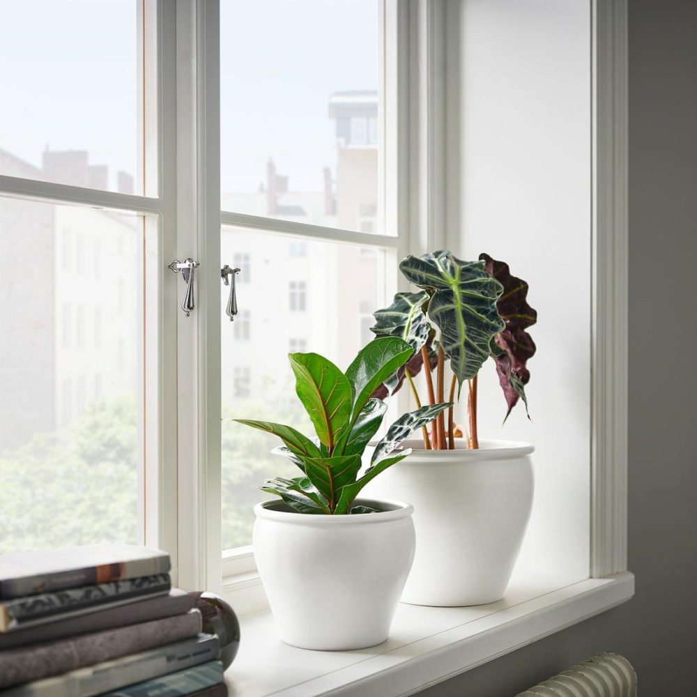 Plant Pot, Indoor/Outdoor/White Outdoor