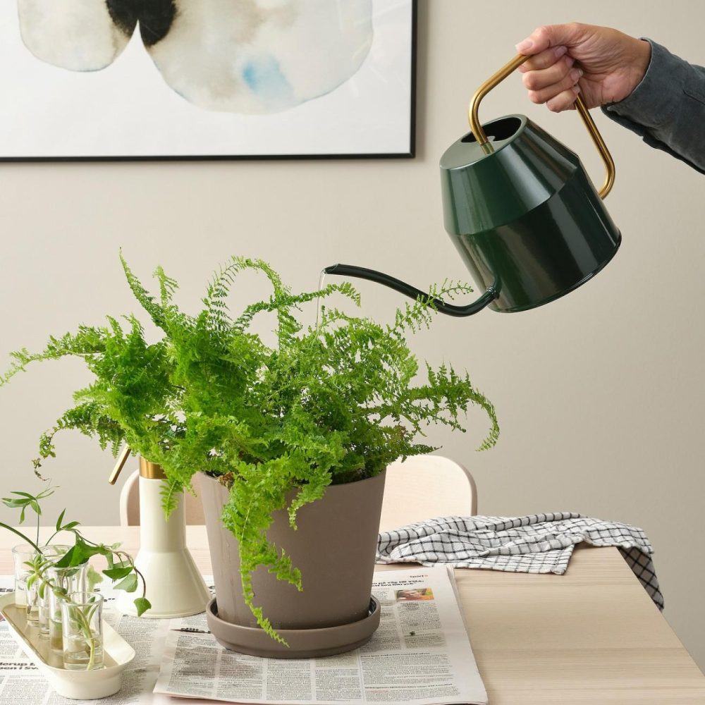 Watering Can, Black-Green/Gold Outdoor