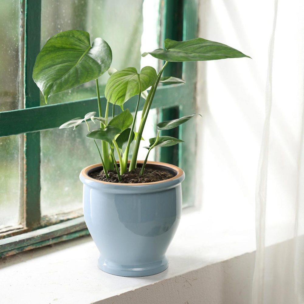 Plant Pot, Indoor/Outdoor Blue Outdoor