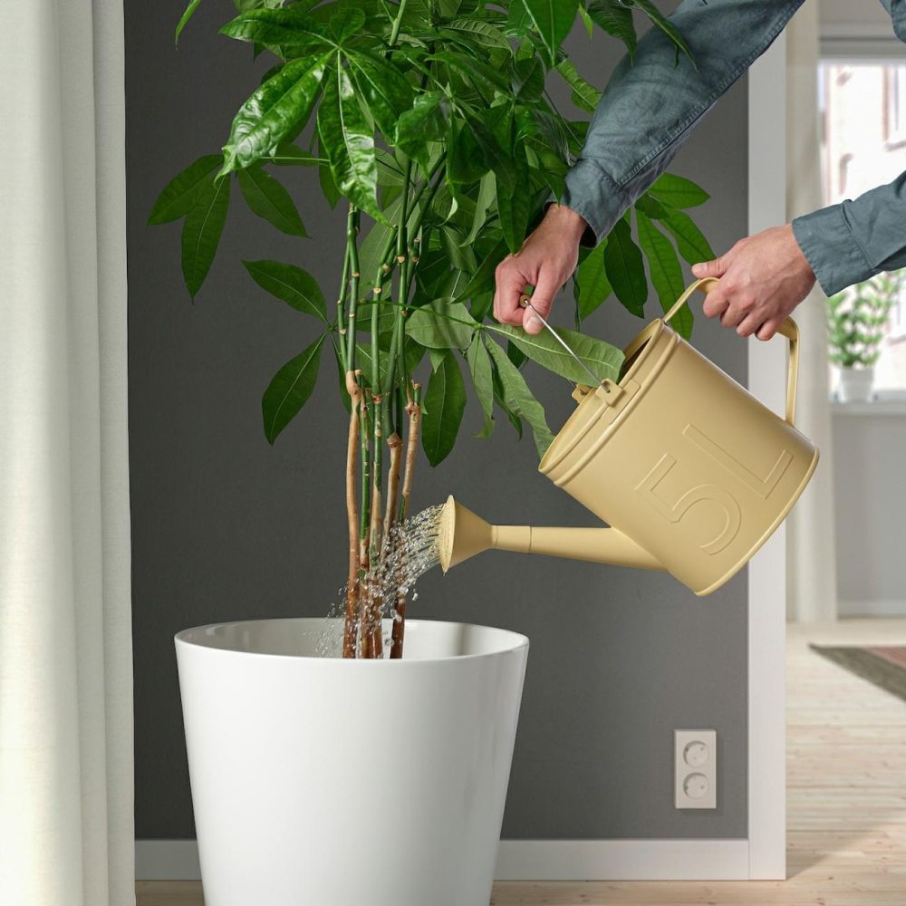 Watering Can, Indoor/Outdoor Yellow Outdoor